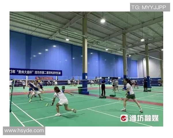 重庆羽毛球队比赛经验深度对比分析与发展潜力探讨 重庆羽毛球队比赛经验深度对比分析与发展潜力探讨